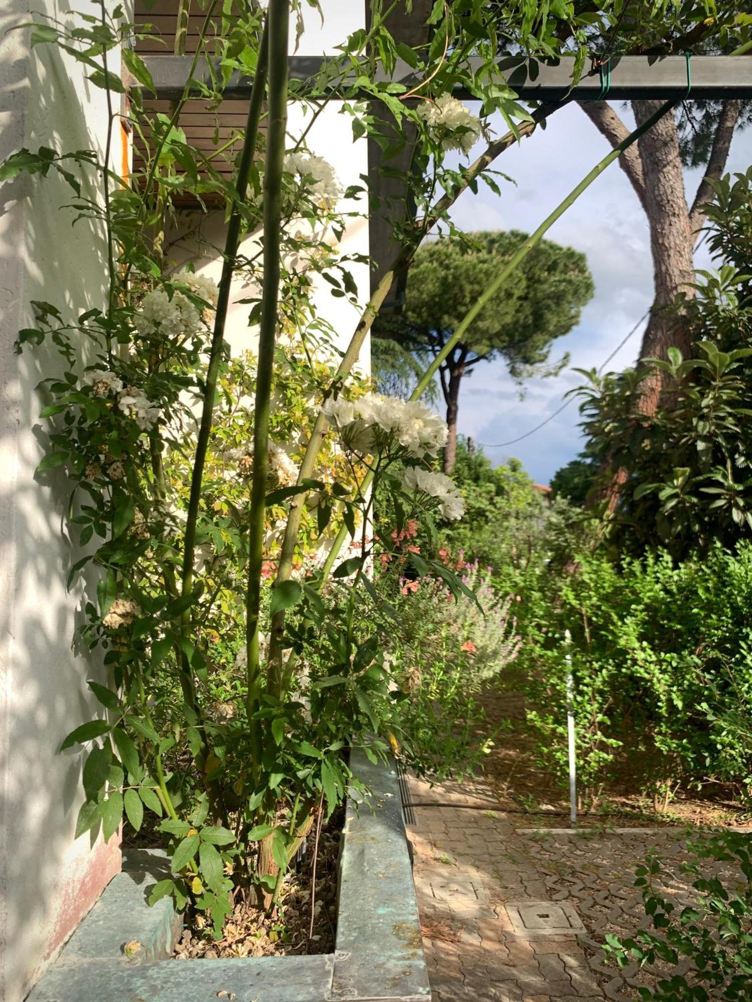 Beau Rivage - Room Studio In Villa Santarcangelo di Romagna Exterior photo